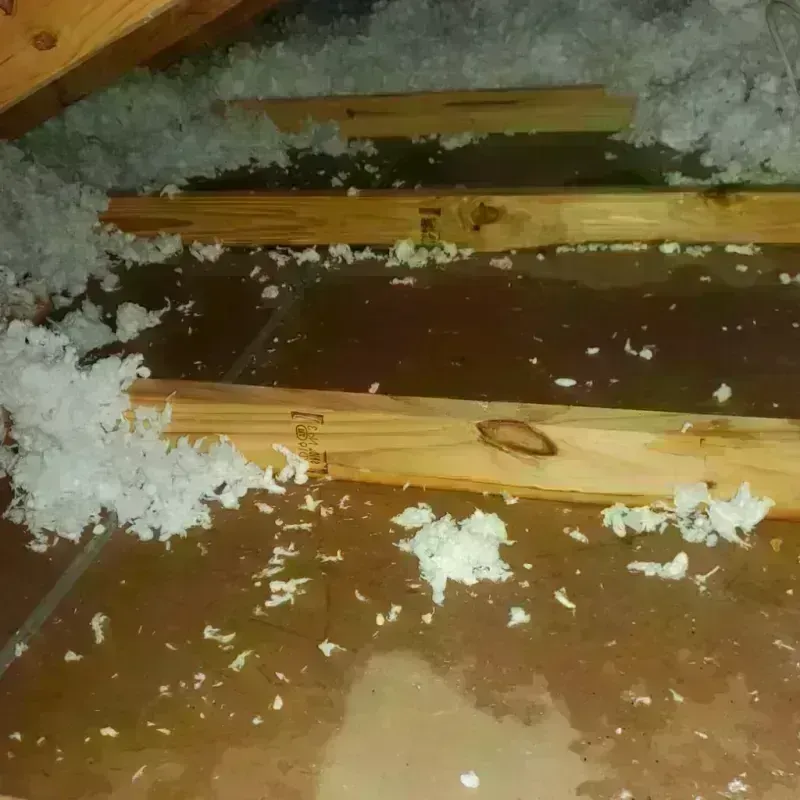 Attic Water Damage in Gresham, OR