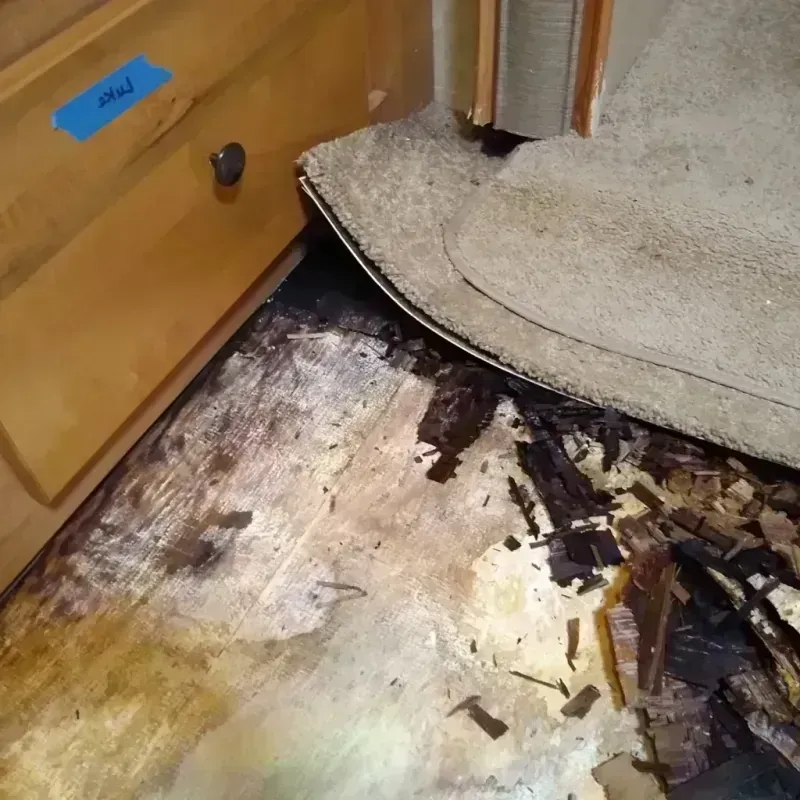 Wood Floor Water Damage in Gresham, OR